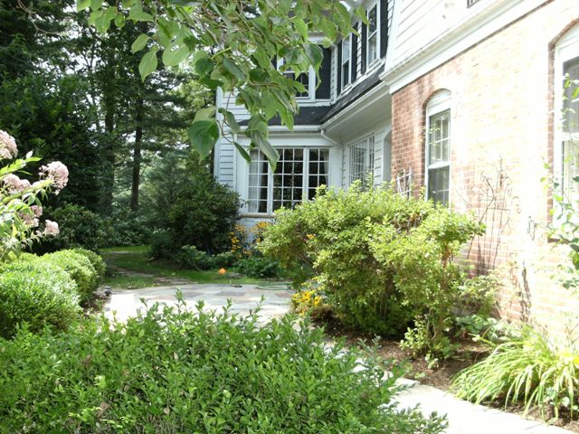 Front Yard Landscape on a Slope - Terrascapes