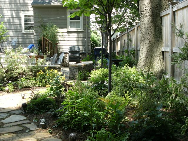 Small Backyard Garden - Terrascapes