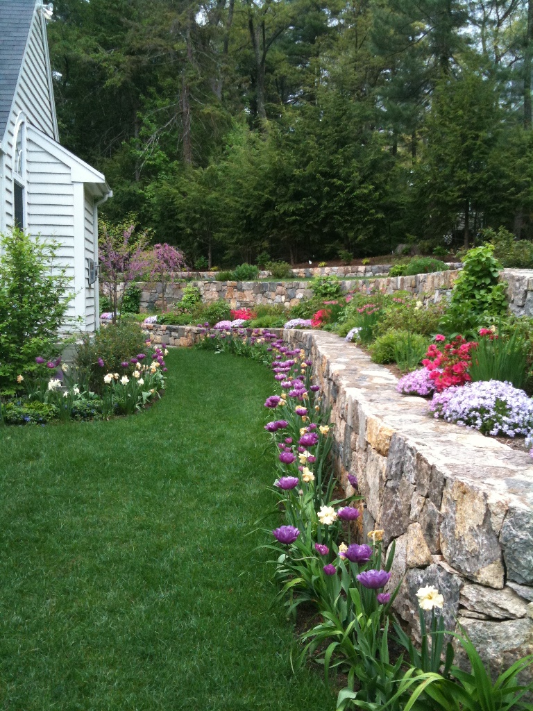 Backyard Built on a Slope - Terrascapes