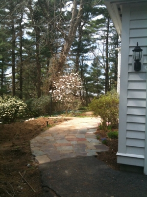 Front Yard Landscape on a Slope - Terrascapes