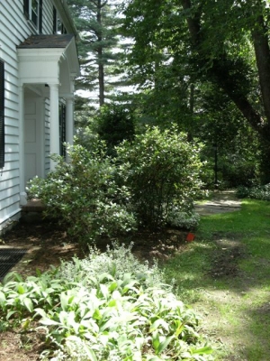 Front Yard Landscape on a Slope - Terrascapes