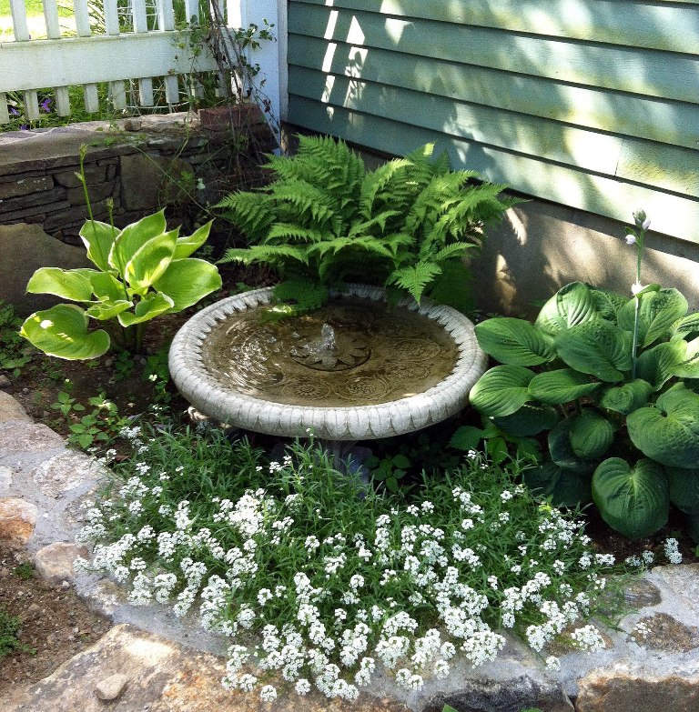 Courtyard and Container Garden - Terrascapes