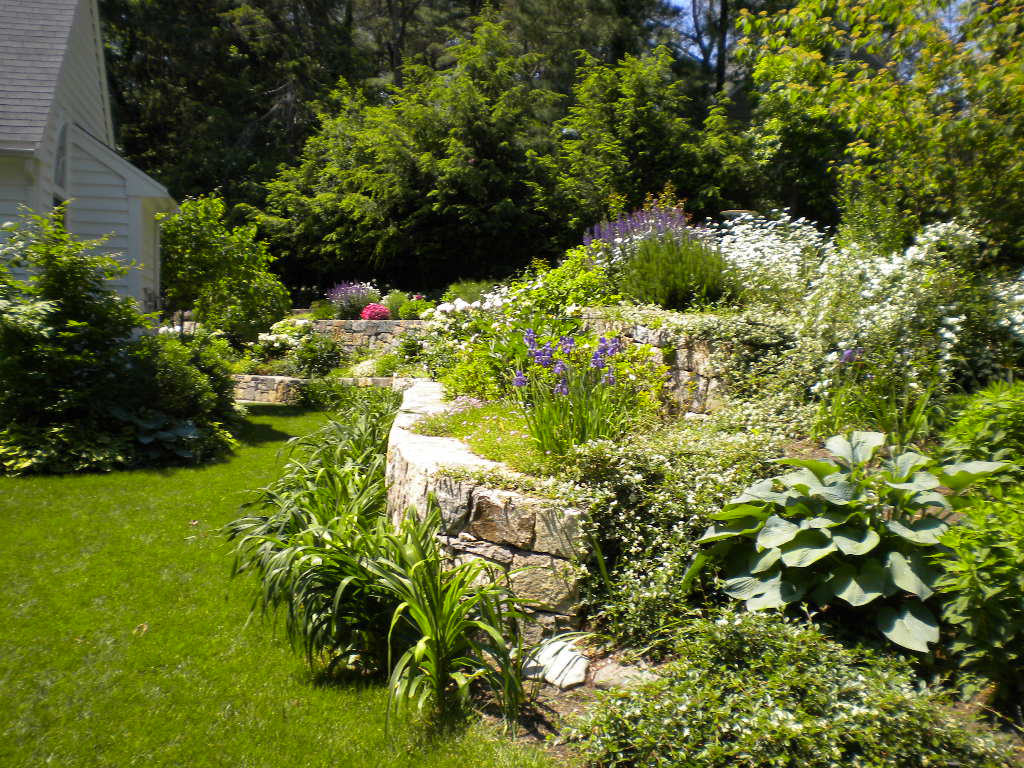 Backyard Built on a Slope - Terrascapes