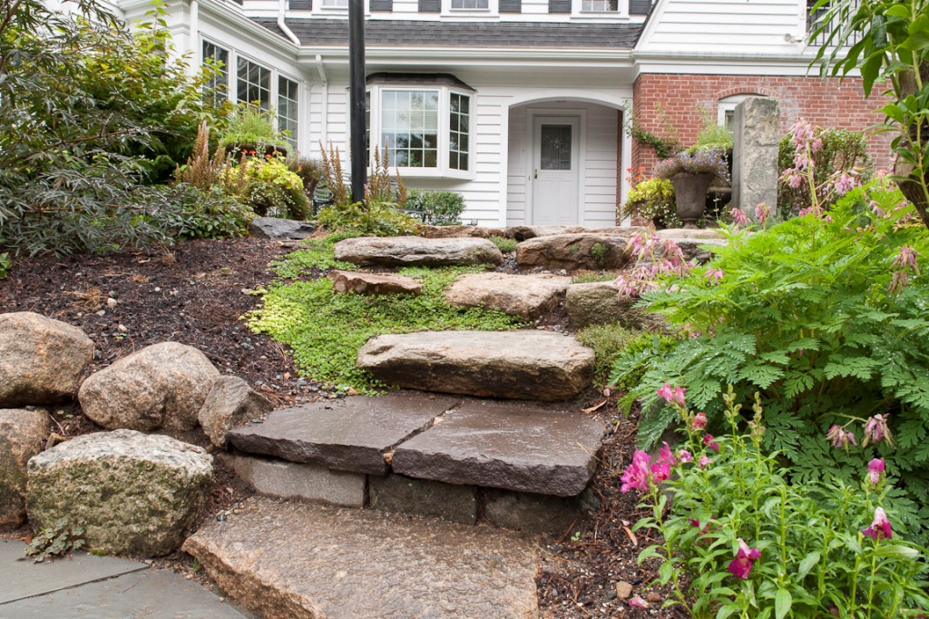 Front Yard Landscape on a Slope - Terrascapes