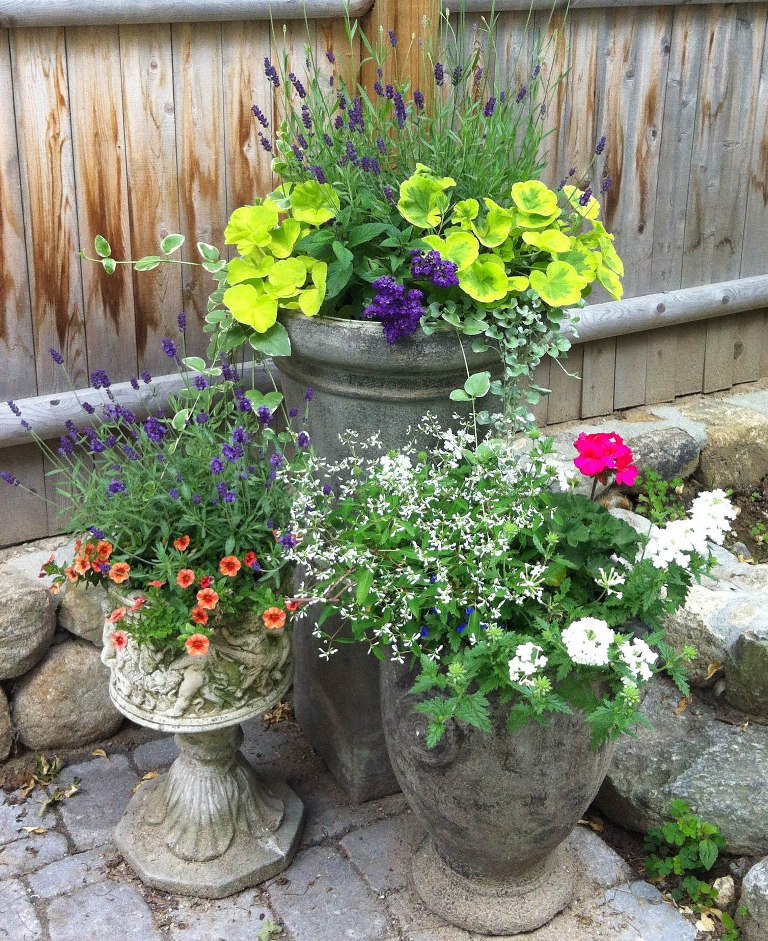 Courtyard and Container Garden - Terrascapes