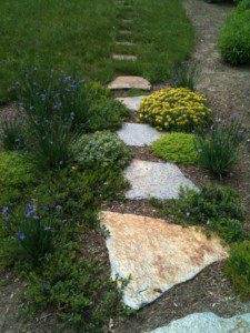 Transition Spaces – Terrascapes