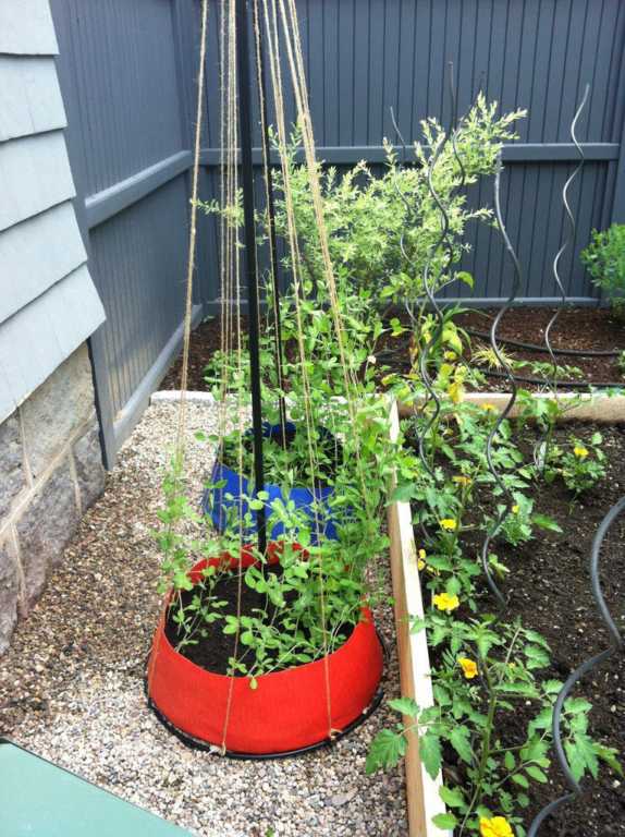 Deck to Vegetable Garden