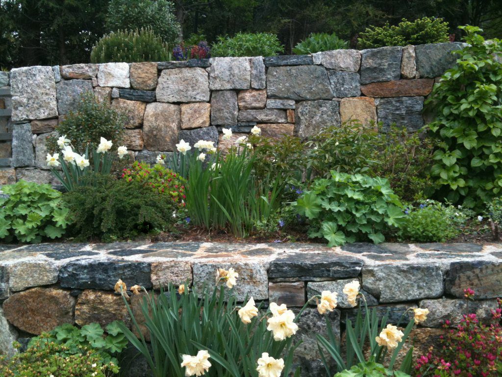 Terrace Walls underplanted with Spring Bulbs