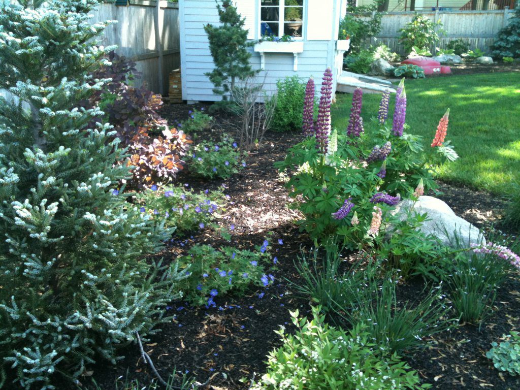 Color in the Garden – Terrascapes