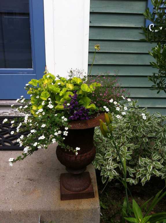 Urns on the Stoop