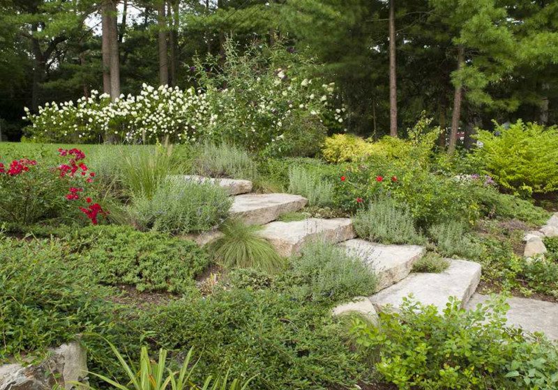 Landscape Design & Installation Services – Terrascapes