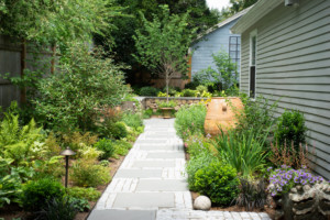 Small Urban Garden Dedham