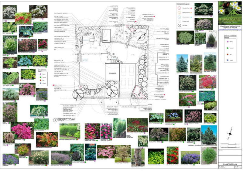 Landscape Design Installation Services Terrascapes landscape-design-installation-services-terrascapes